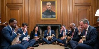 Politicians sitting on the floor holding goats in a solemn gathering