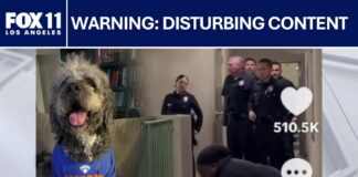 Woman says LAPD officer shot and killed her dog outside Canoga Park home