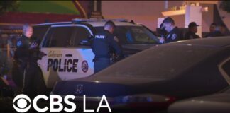 Carjacking suspect hits several pedestrians during Culver City police pursuit