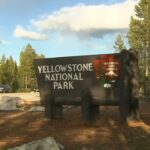 12-year-old injured by bison at Yellowstone National Park