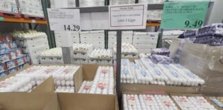 Attorney general announces egg price-fixing settlement