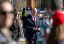 Tom Homan, Border Czar