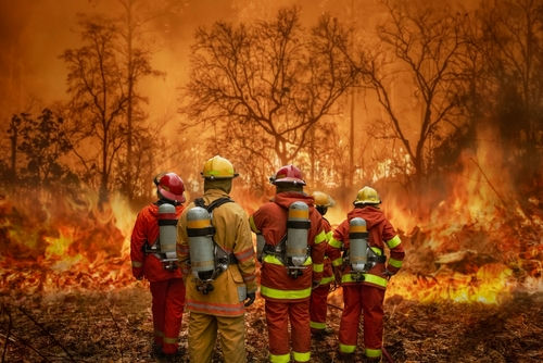 shutterstock_2079494122 Firefighters battling a forest fire.