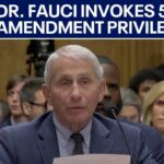 Rand Paul Pushes Contempt After Pardon Play Dr. Fauci pleads the 5th Amendment in COVID senate hearing | KTVU