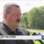 Blue-Harness Lioness? Cops Mobilize Fast Deputies on hunt for loose lion, cub in Hancock/Madison counties