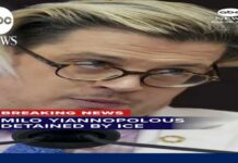 Milo Yiannopoulos, far-right British commentator, detained by ICE