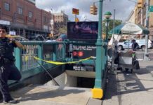Rush-Hour Shove—Suspect Still Loose Person Fatally Struck by Train at 125 St Train Station - NYC