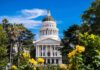 Capitol building with white dome framed by trees and yellow flowers