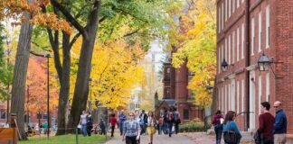 Students walking through a leafy campus path in autumn