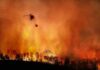 Eagle’s Nest Ablaze – One Man Detained Helicopter fights massive wildfire over burning forest