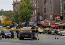 Missed Court, Deadly Clash – What Broke? Police investigate a taped-off urban street crime scene